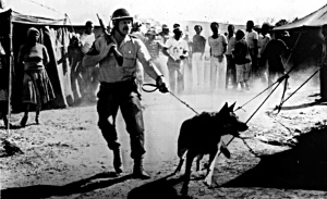South Africa /Police op.in Soweto 1986.